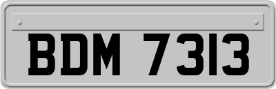 BDM7313