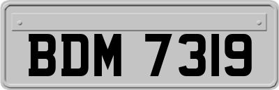 BDM7319