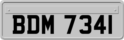 BDM7341
