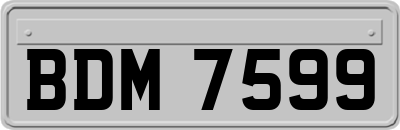 BDM7599