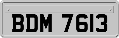 BDM7613