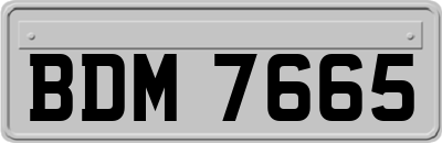 BDM7665