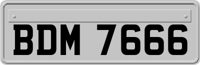 BDM7666