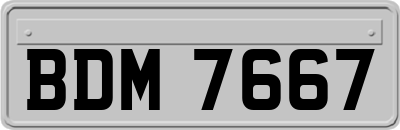 BDM7667