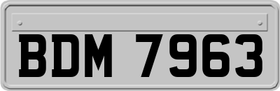 BDM7963