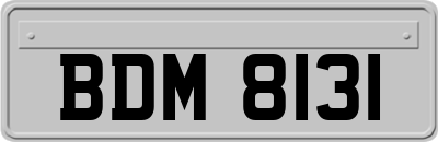 BDM8131