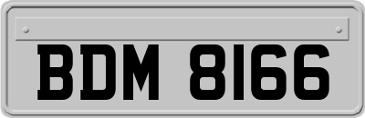 BDM8166