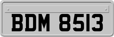 BDM8513
