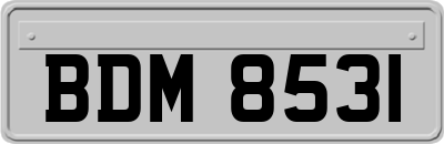 BDM8531