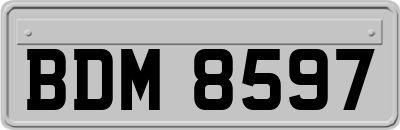 BDM8597