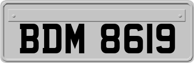 BDM8619