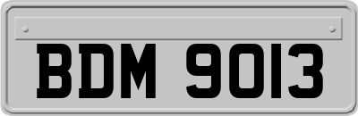 BDM9013