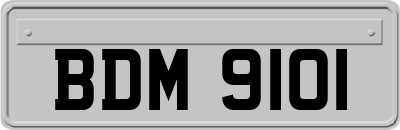 BDM9101