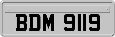 BDM9119