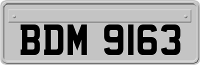 BDM9163