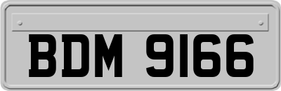 BDM9166