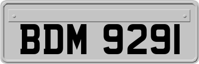 BDM9291