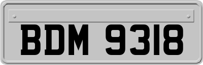 BDM9318