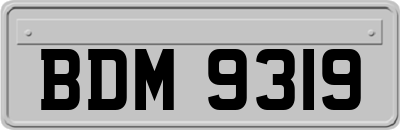 BDM9319