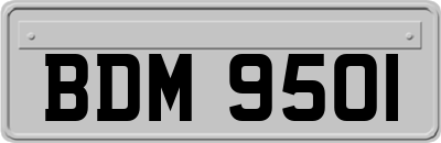 BDM9501