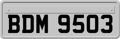 BDM9503