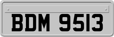 BDM9513