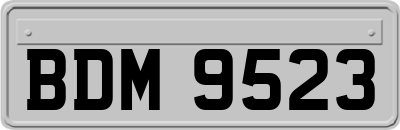 BDM9523