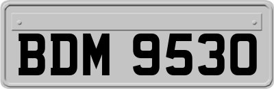 BDM9530
