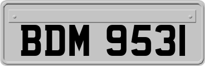 BDM9531
