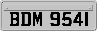 BDM9541