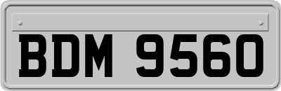 BDM9560
