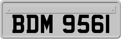 BDM9561