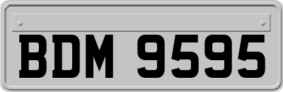 BDM9595