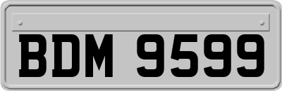 BDM9599