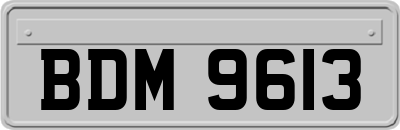 BDM9613
