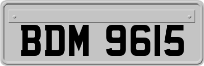 BDM9615