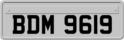 BDM9619