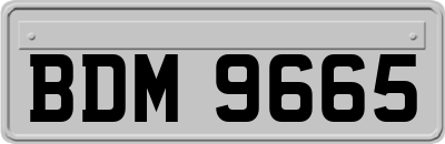 BDM9665