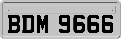BDM9666