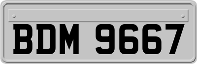 BDM9667