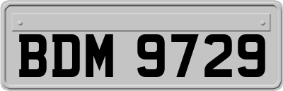 BDM9729