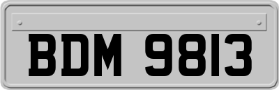 BDM9813