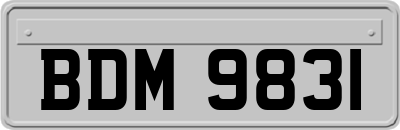 BDM9831