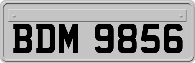 BDM9856