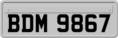 BDM9867