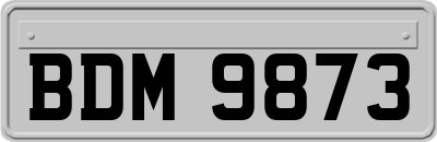 BDM9873