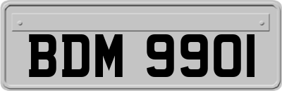 BDM9901