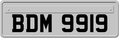 BDM9919