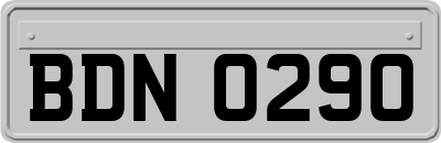 BDN0290