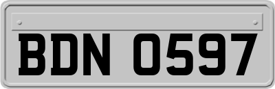 BDN0597